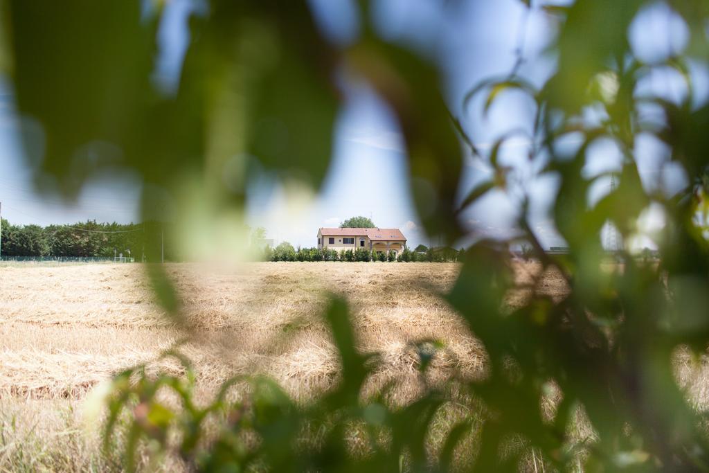 Agriturismo Il Mondo Guest House Parma Exterior foto